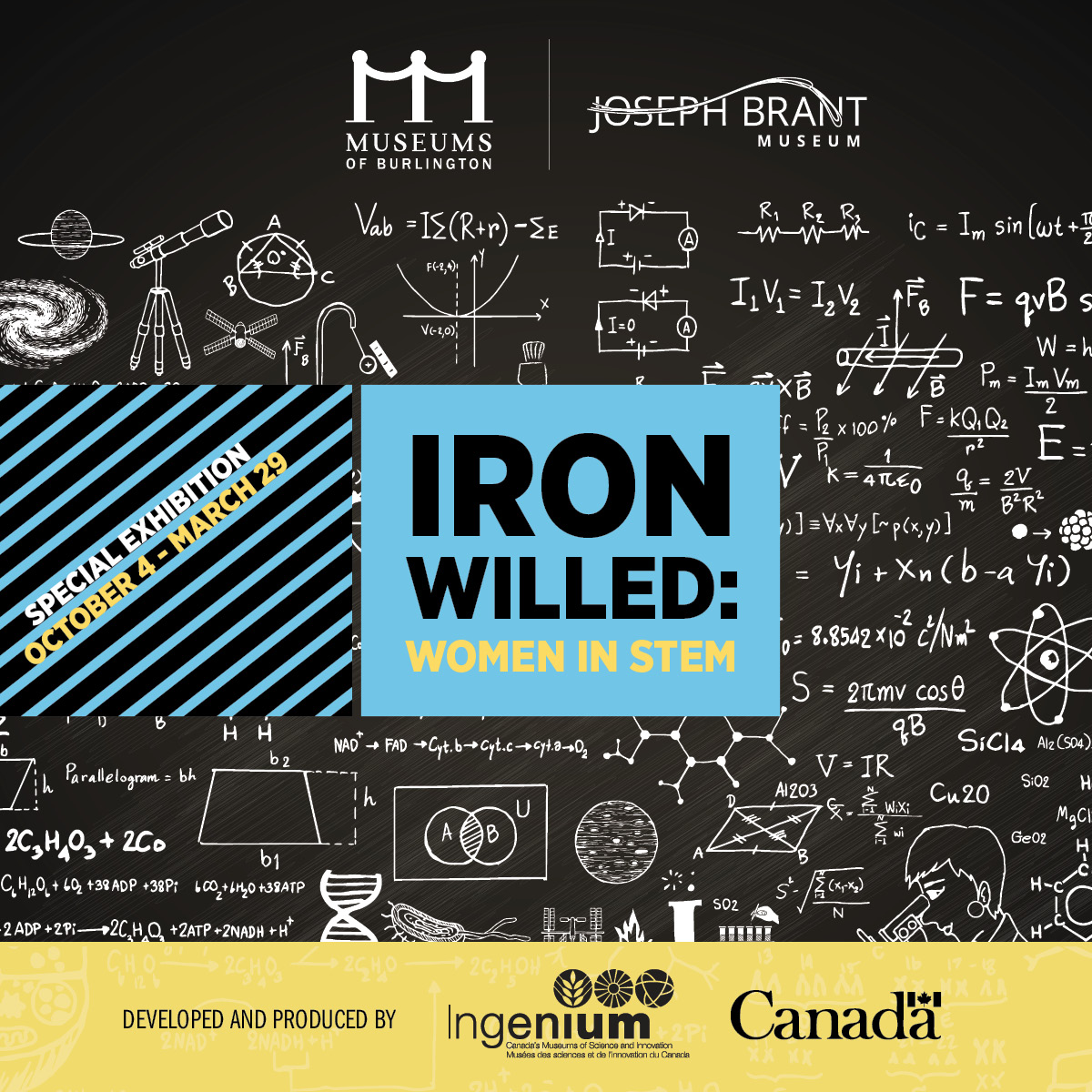 iron willed insta