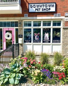 Street view of Downtown Pet Shop
