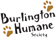 Burlington Humane Society Attic Store